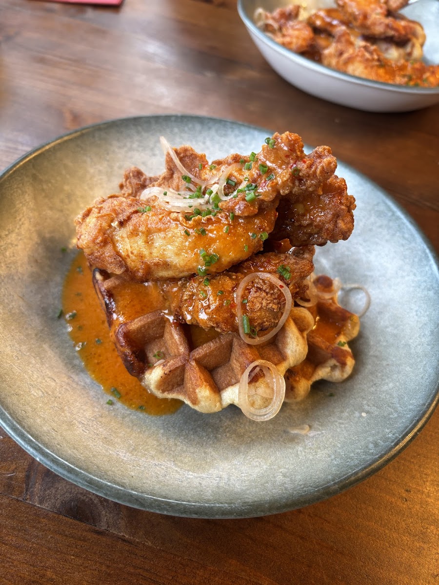 The Cartologist Photos 2